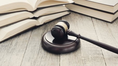 Жительницу Приамурья осудили за попытку убить щенка