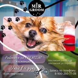 Стрижка собак и кошек в Мостовском, Псебае, Лабинске